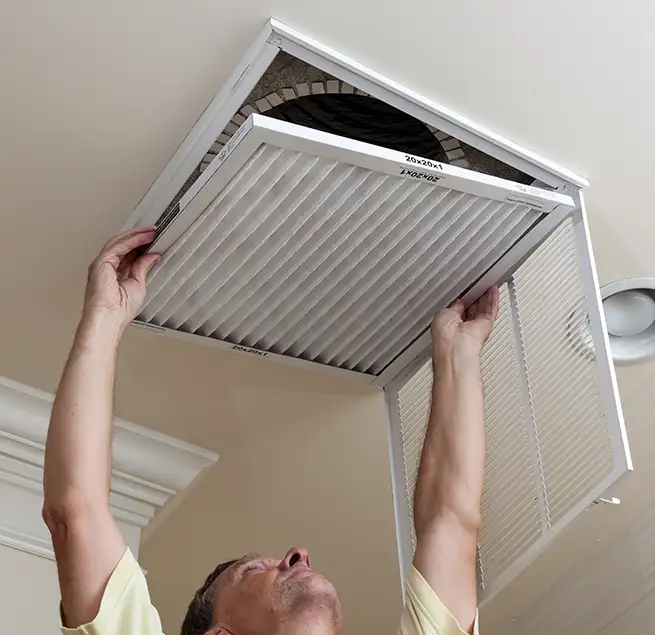 Why Homeowners & Businesses Trust Us in Meadow Woods, FL?