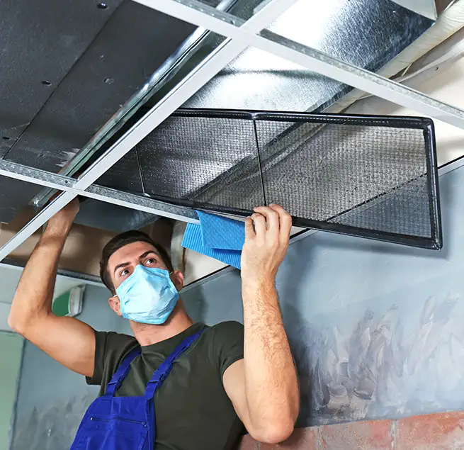 Why Homeowners & Businesses Trust Us in Meadow Woods, FL?