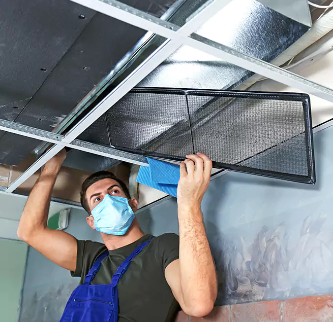 Why Homeowners & Businesses Trust Us in Meadow Woods, FL?