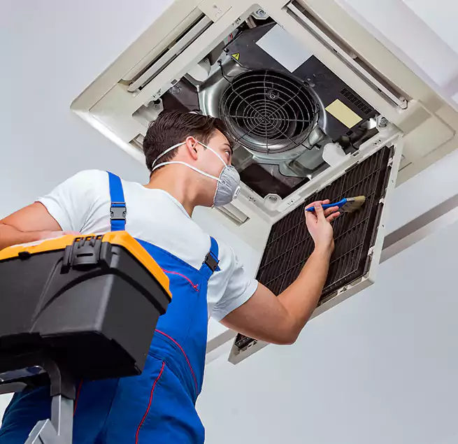 Why Homeowners & Businesses Trust Us in Meadow Woods, FL?