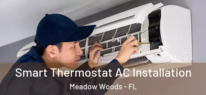 Smart Thermostat AC Installation Meadow Woods - FL