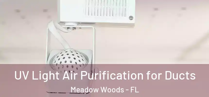 UV Light Air Purification for Ducts Meadow Woods - FL