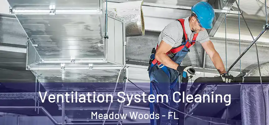 Ventilation System Cleaning Meadow Woods - FL