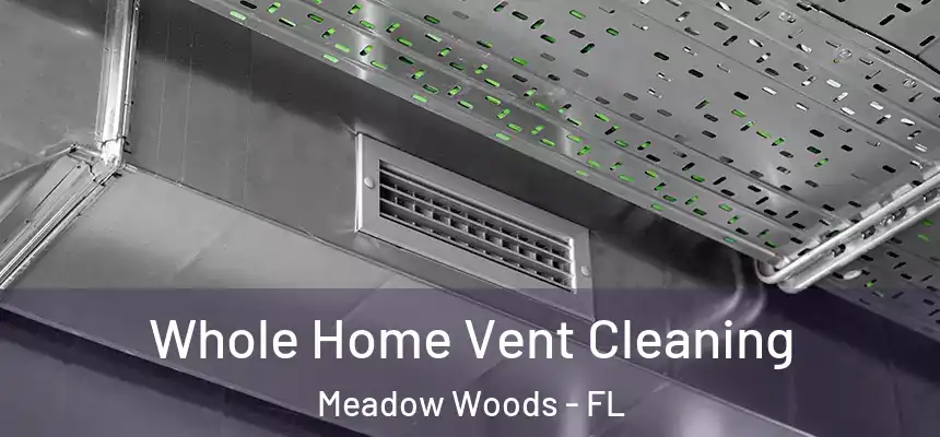 Whole Home Vent Cleaning Meadow Woods - FL