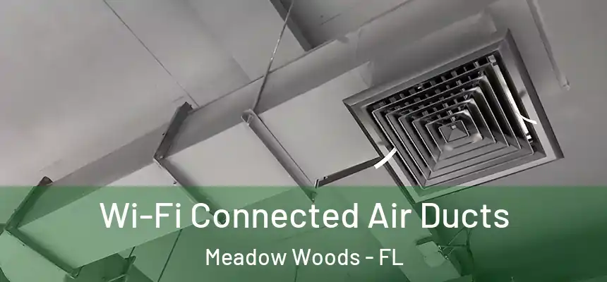 Wi-Fi Connected Air Ducts Meadow Woods - FL
